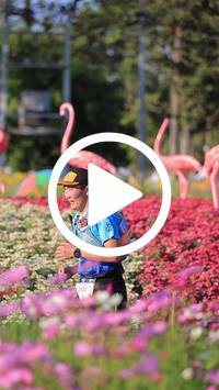 BIB:  <button type="button" onclick="openModal(27588548)" class="btn btn-primary btn-sm float-right" data-toggle="modal" data-target=".modal-high-quality">
                <i class="fa fa-download"></i> Download
                </button>